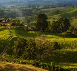 Colombia Landscape